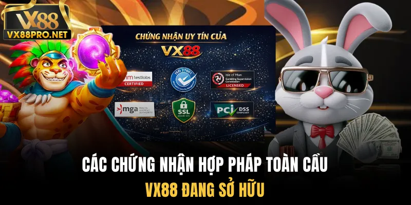 Các chứng nhận hợp pháp toàn cầu Vx88 đang sở hữu