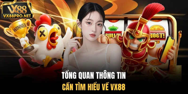 Tổng quan thông tin cần tìm hiểu về Vx88
