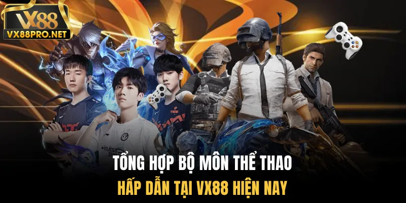 Tổng hợp bộ môn thể thao hấp dẫn tại vx88 hiện nay
